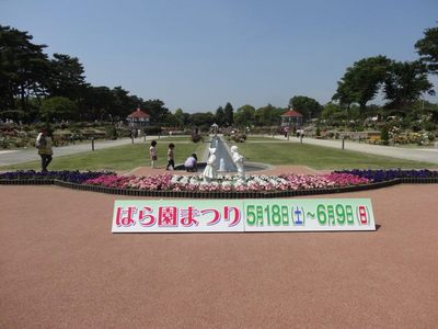 敷島公園バラ園の「ばら園まつり」_130518_01.JPG